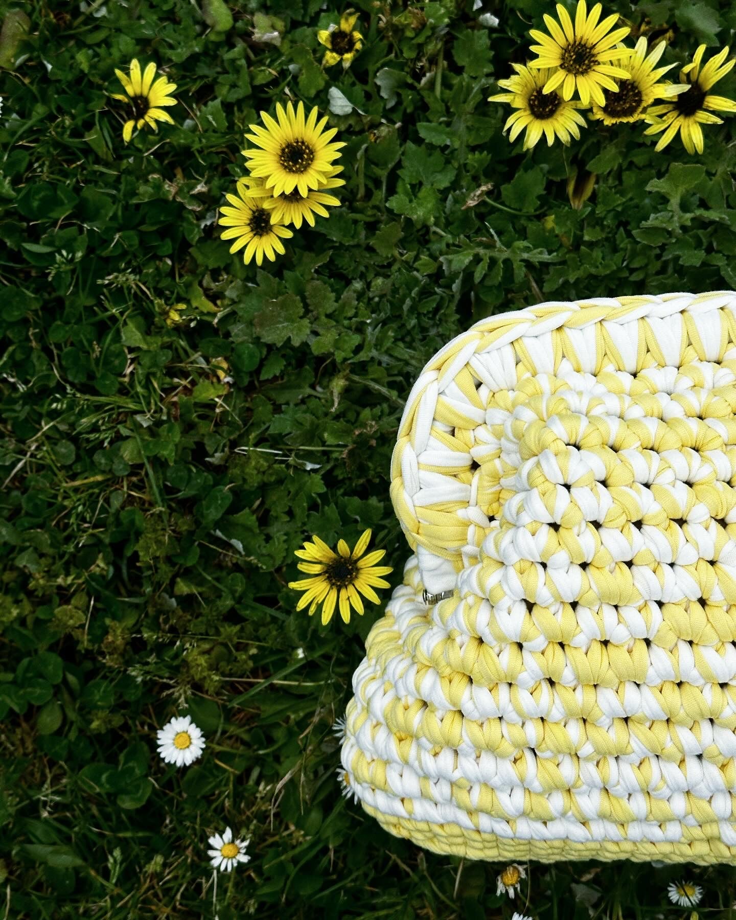 Le Clutch - Bicolore